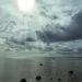 What do I do after a hurricane